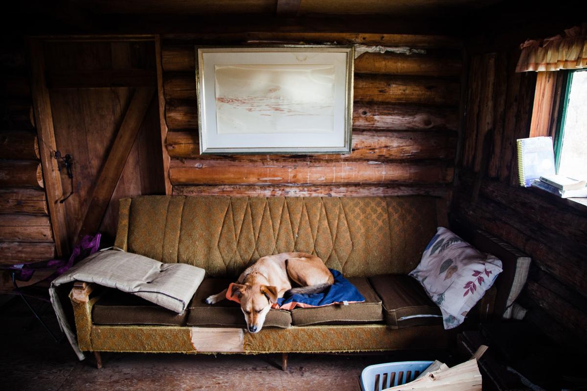 Photos A Girl A Guy And A Dog An Epic Adventure From Alaska To