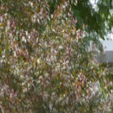 Sioux City Flight 232 Twenty Five Years Later Local News Wcfcourier Com