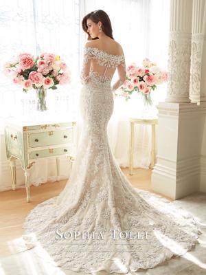 Sophia tolli.jpg