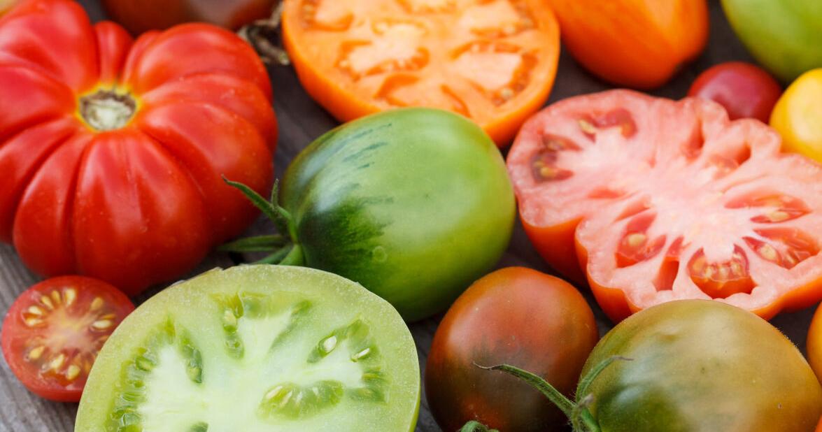 Registration for Iowa Food & Farm Conference now open