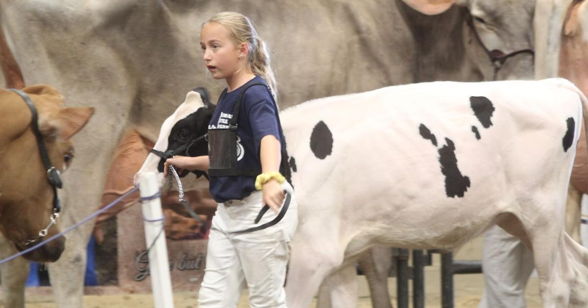 Cow Congress Position National Cattle Congress joins with CBRE for redevelopment