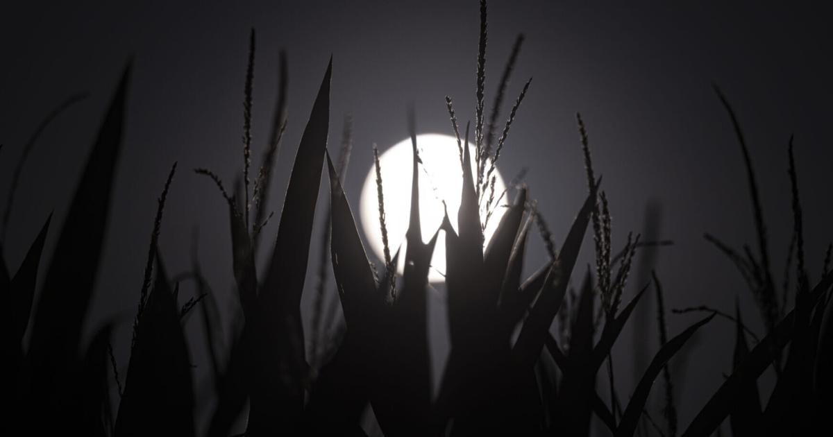Warm weather this week should help crops along