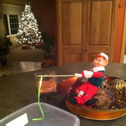 Photos: Facebook fans share Elf on the Shelf photos | | wcfcourier.com