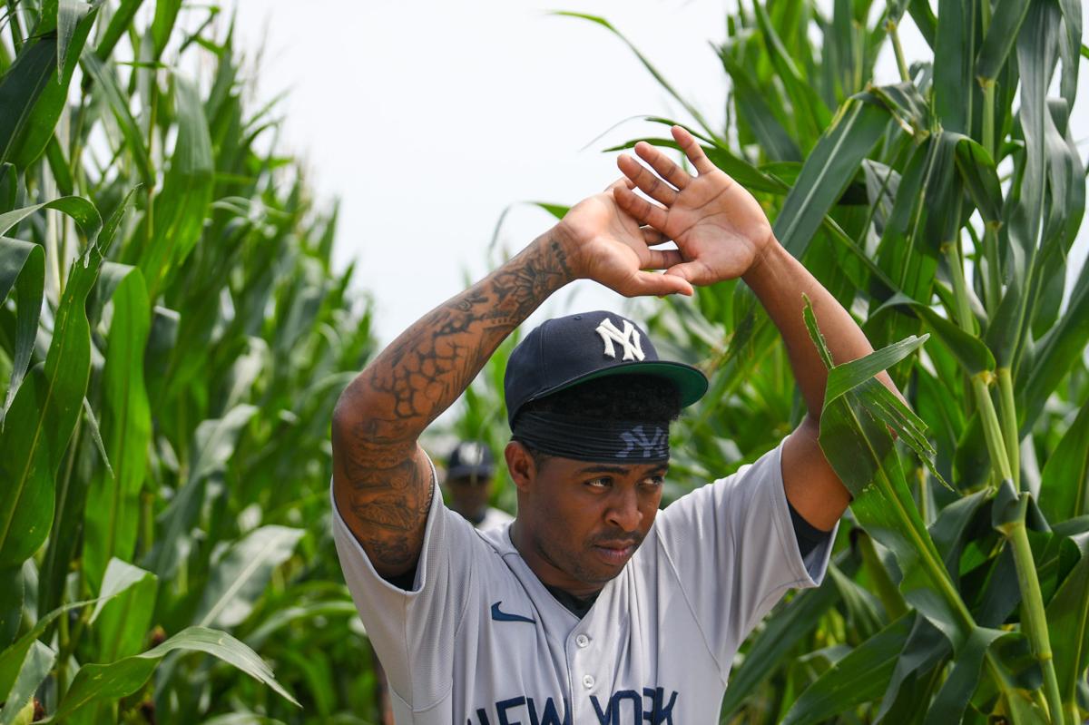 I think every baseball player should experience this': Cubs, Reds hope MLB  returns to Field of Dreams