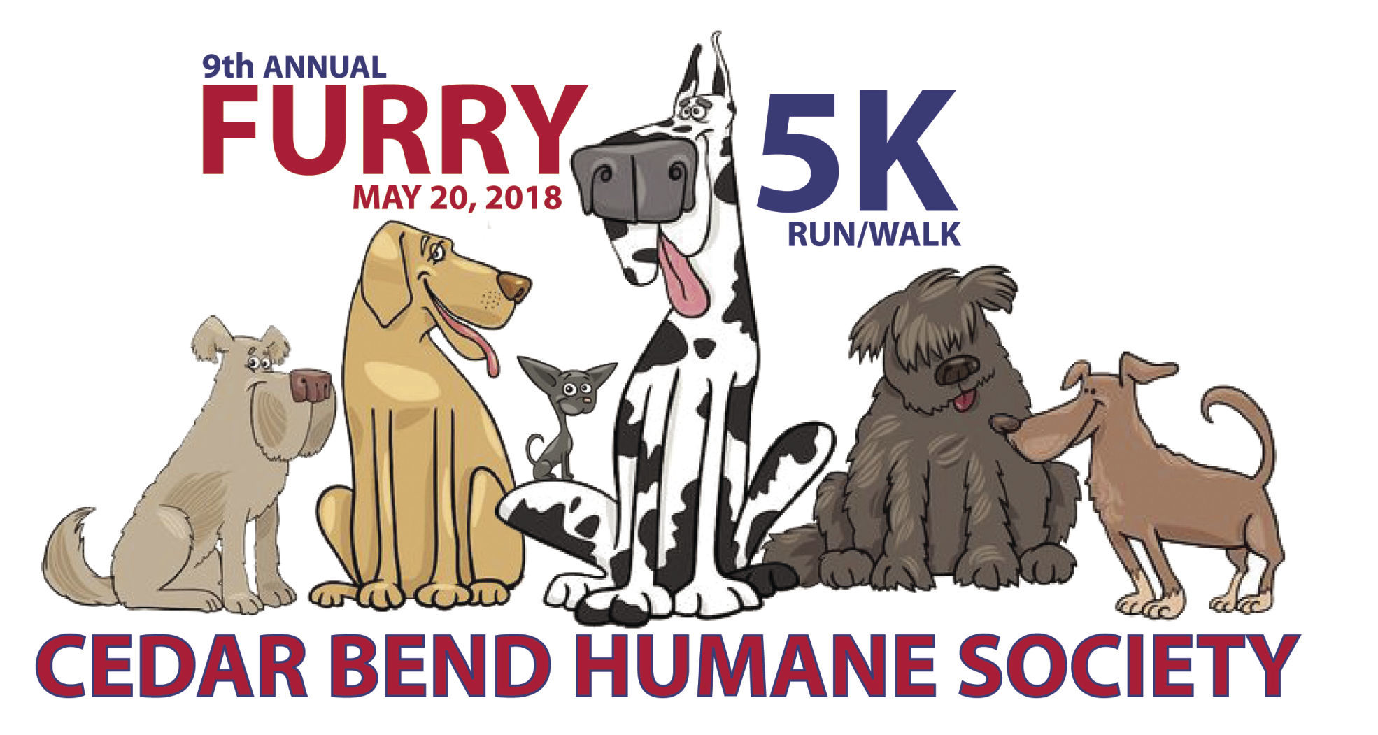 royal canin indoor 27 10kg