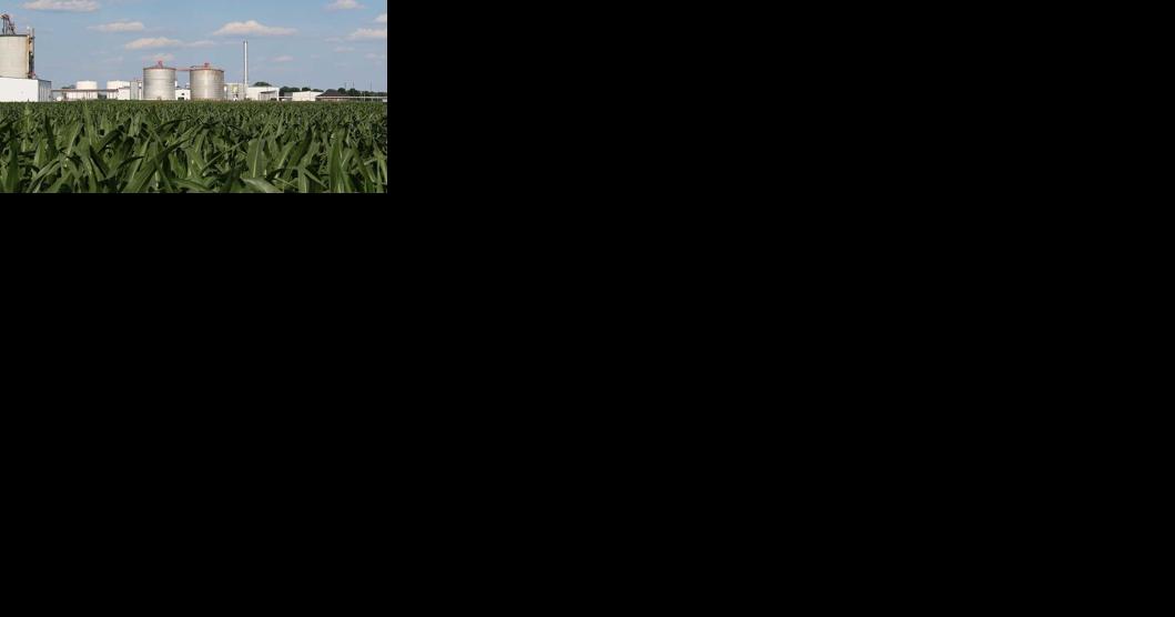 Iowa congressional delegation renew push for E15 year round - Vimarsana News
