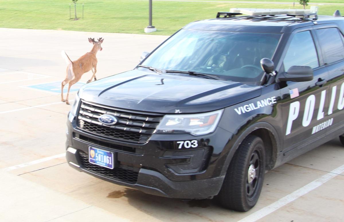 One Person Killed In Two Vehicle Accident Thursday Near Dunkerton Local News Wcfcourier Com