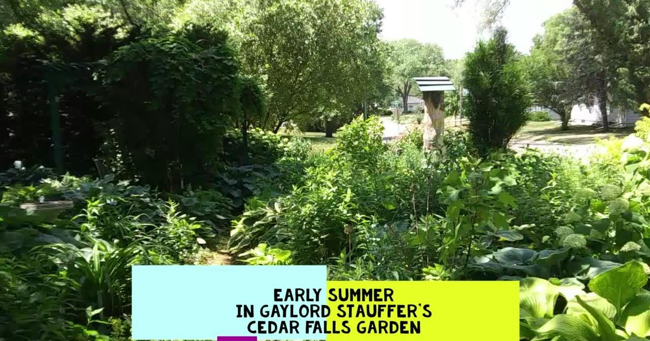 Summer garden tour to raise funds for Grout Museum District - Vimarsana News
