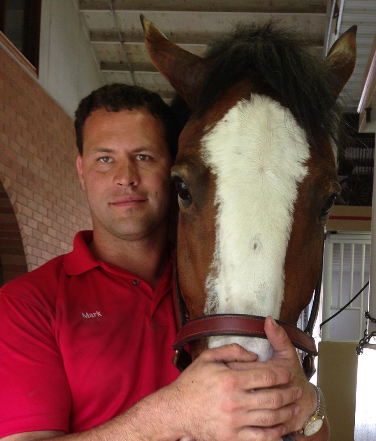 Former Bud Clydesdales handler recalls 'greatest job in world' Local