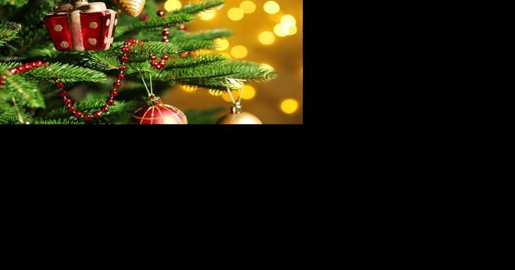 'Holiday Traditions' theme for 35th annual Festival of Trees - Vimarsana News