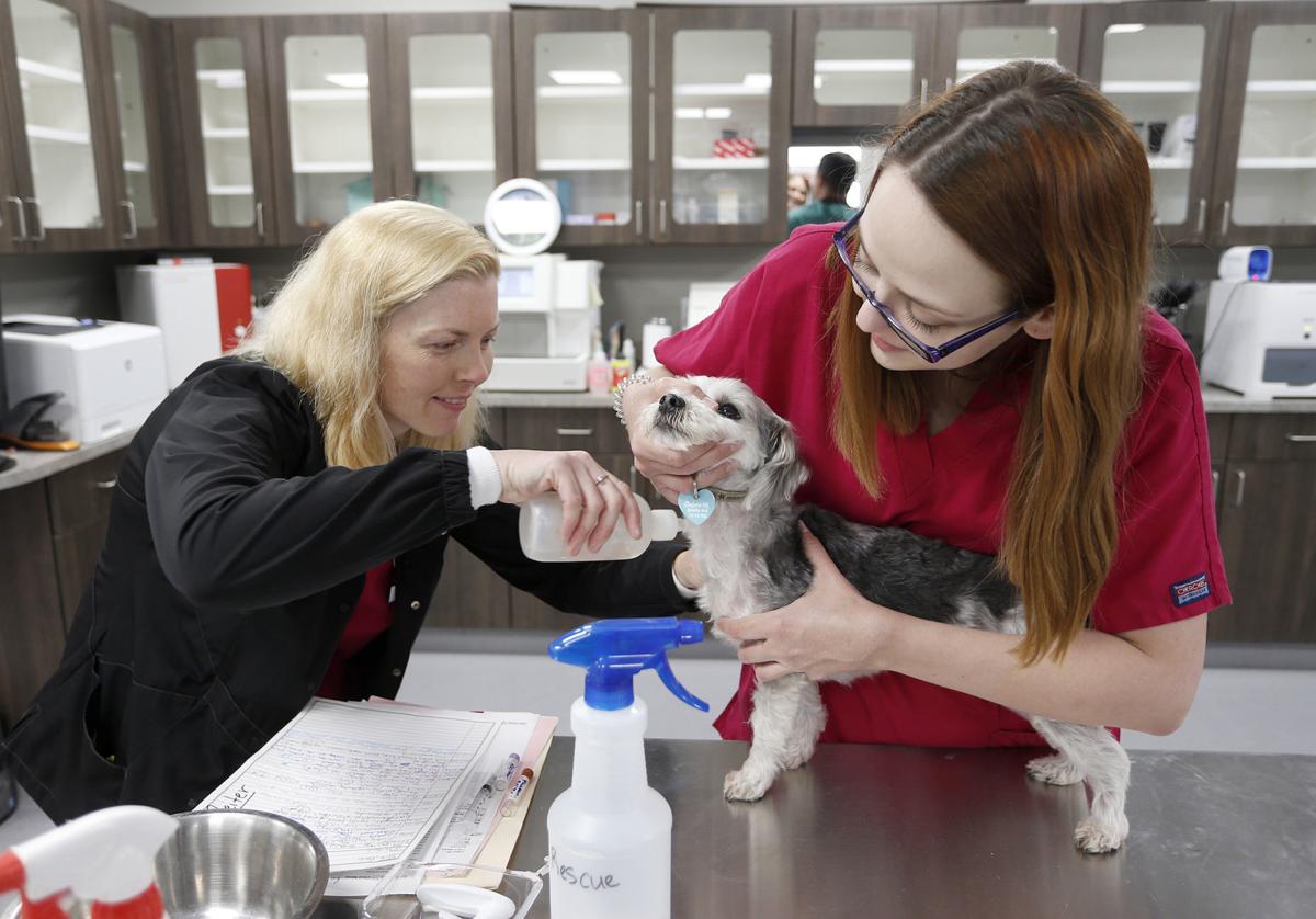 Unconditional Care Den Herder Vet Hospital Opens In New Location