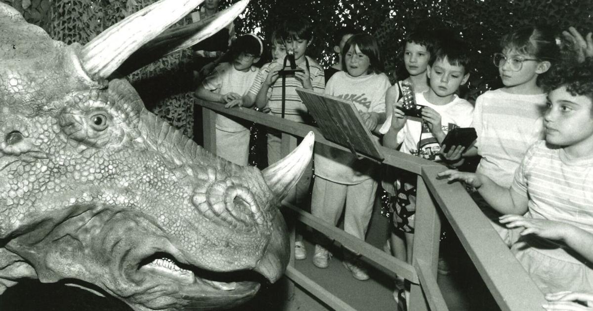 نظرة إلى الوراء على Bluedorn Science Imaginarium في منطقة متحف الجص:…