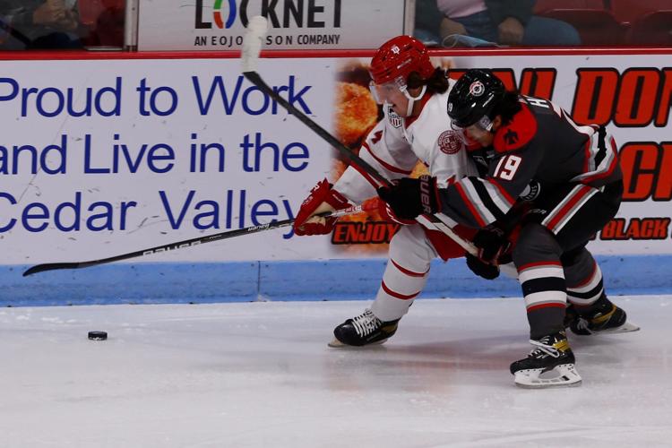 Waterloo Black Hawks excited about depth of roster heading into 2022-23  season - The Rink Live