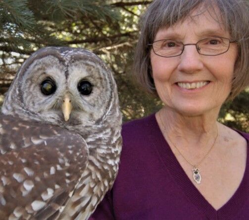 Wildlife rehabber Linda Nebbe at Hartman Reserve July 9