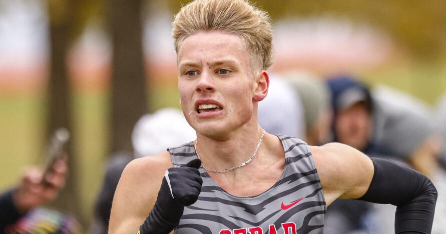 High School Cross Country: Tigers' Merrick wins state title
