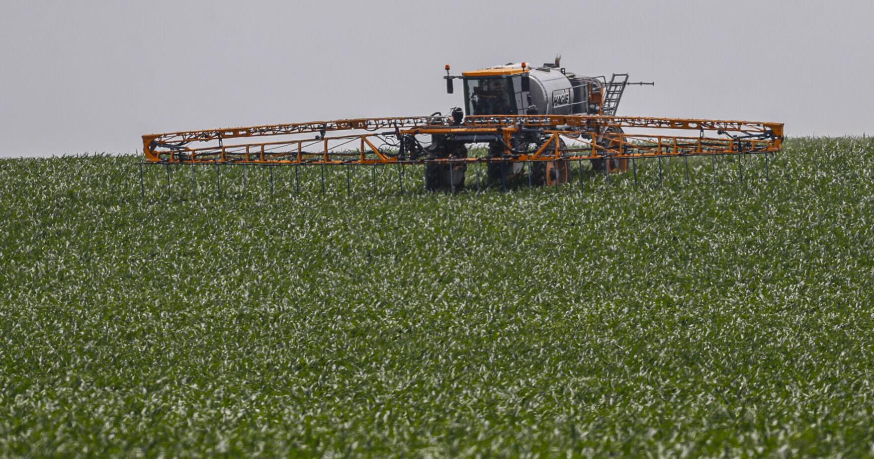 Southern Iowa gets much-needed rain on farmers' fields - Vimarsana News