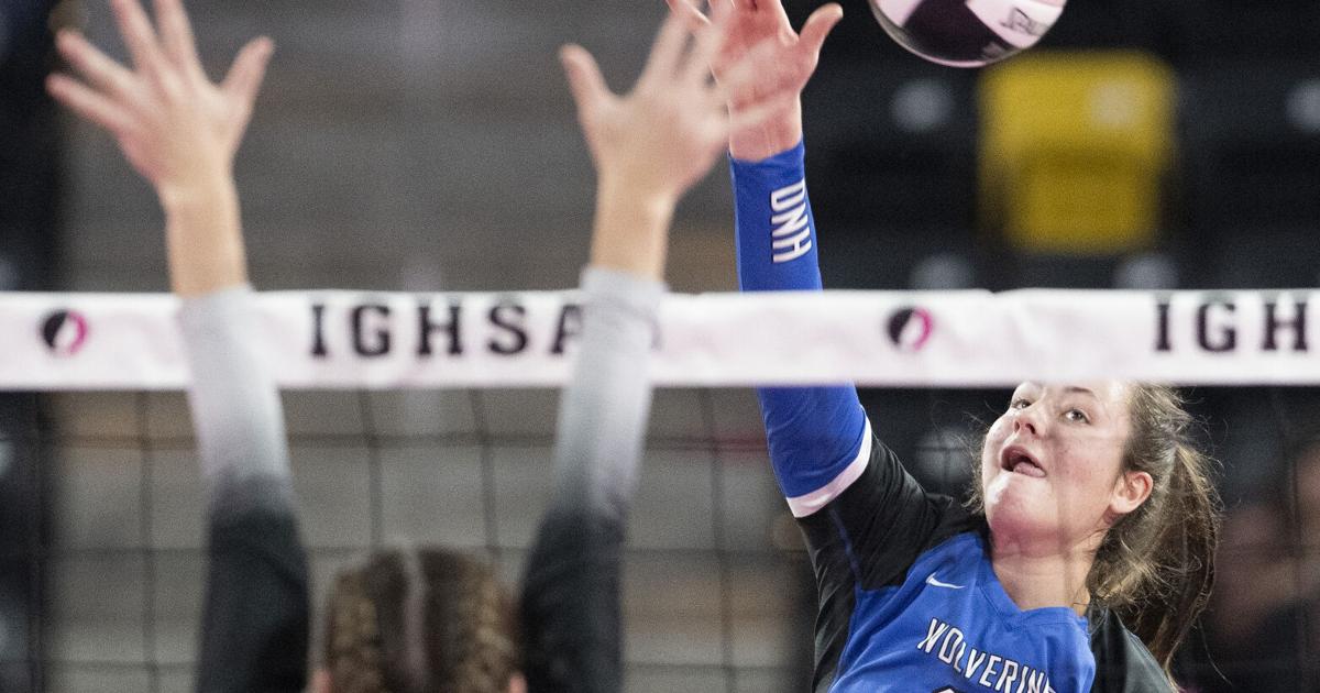 High School Volleyball Isabelle Elliott, Payton Petersen named to