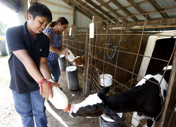 Hansen, three other local farms earn Heritage designations