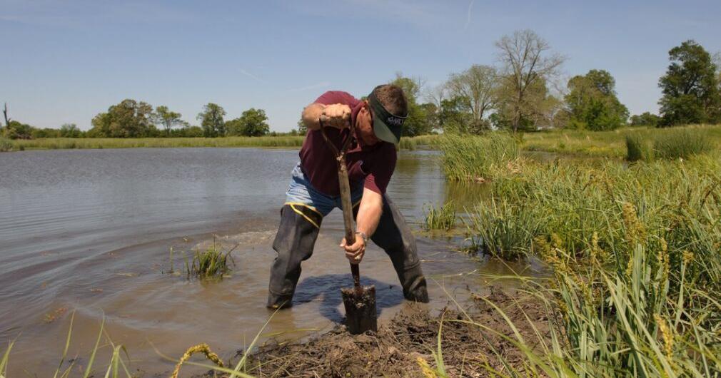 ISU Extension offering master conservationist training class