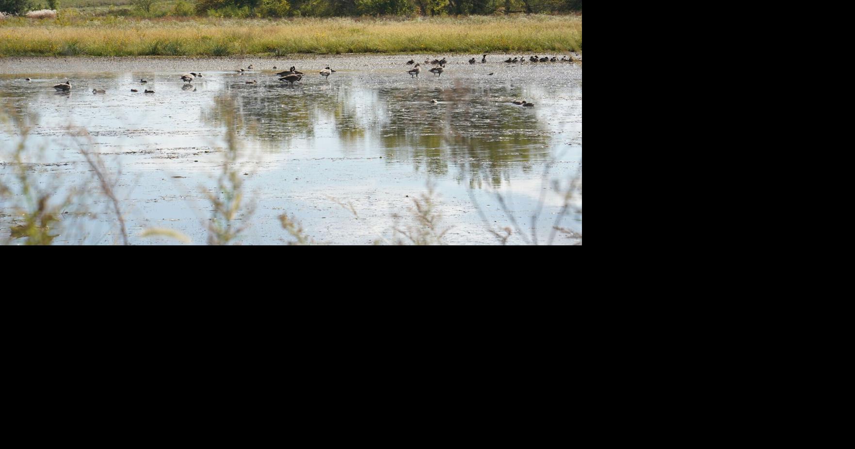 Iowa funds Cedar Rapids-area water quality project
