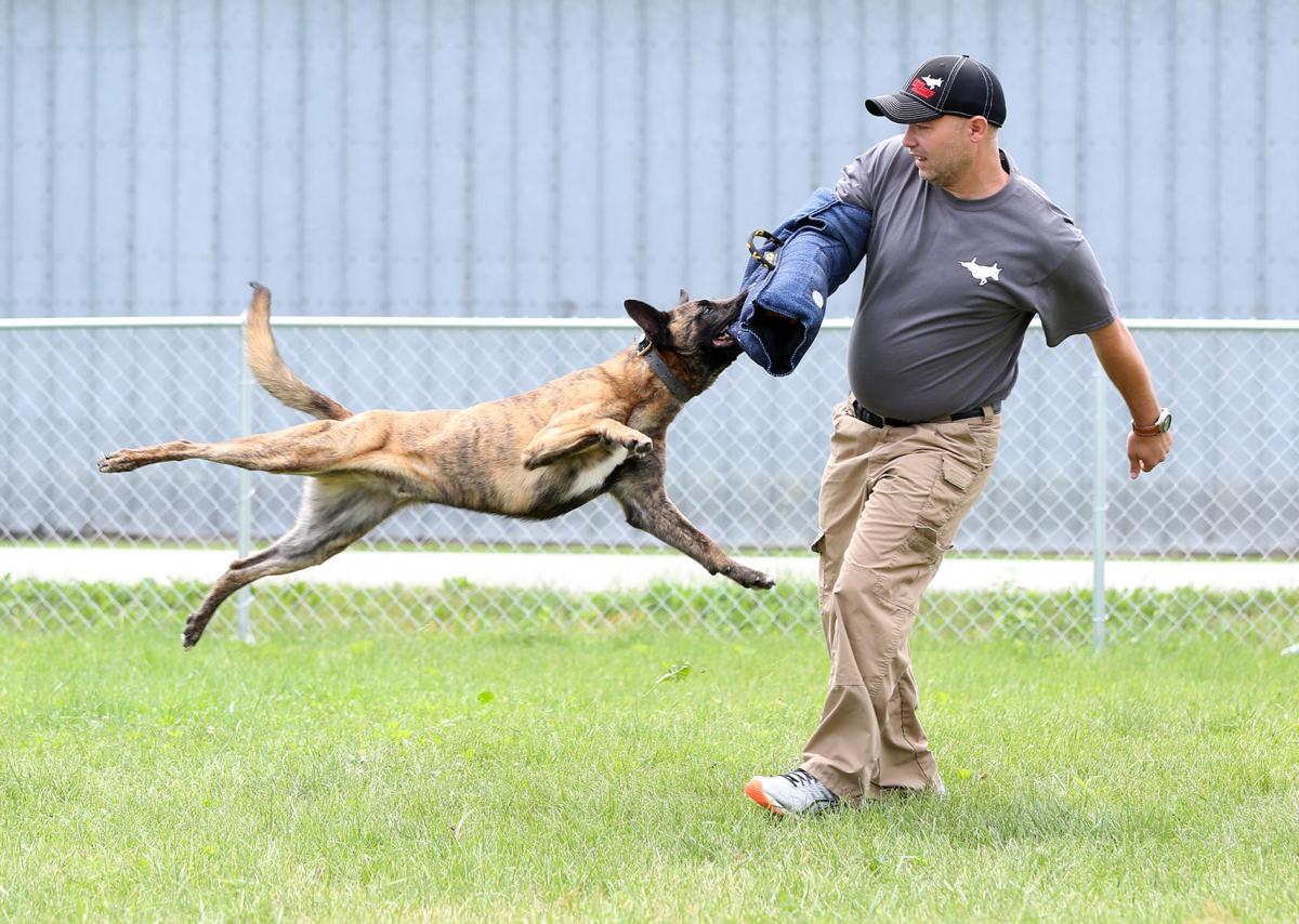 New Facility For Training K 9s For Law Enforcement Work Opens Soon