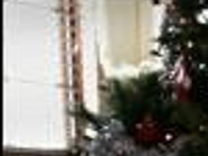 Interfaith Households Balance Hanukkah And Christmas Features Wcfcourier Com