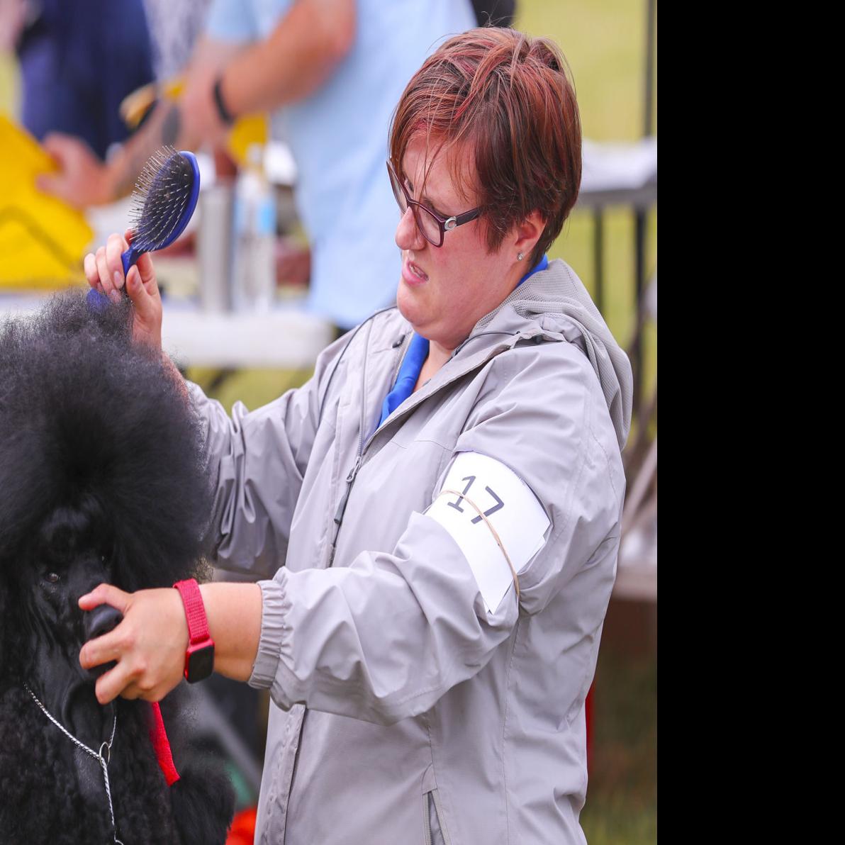 Waterloo Kennel Club Dog Show Returns After One Year Hiatus Local News Wcfcourier Com