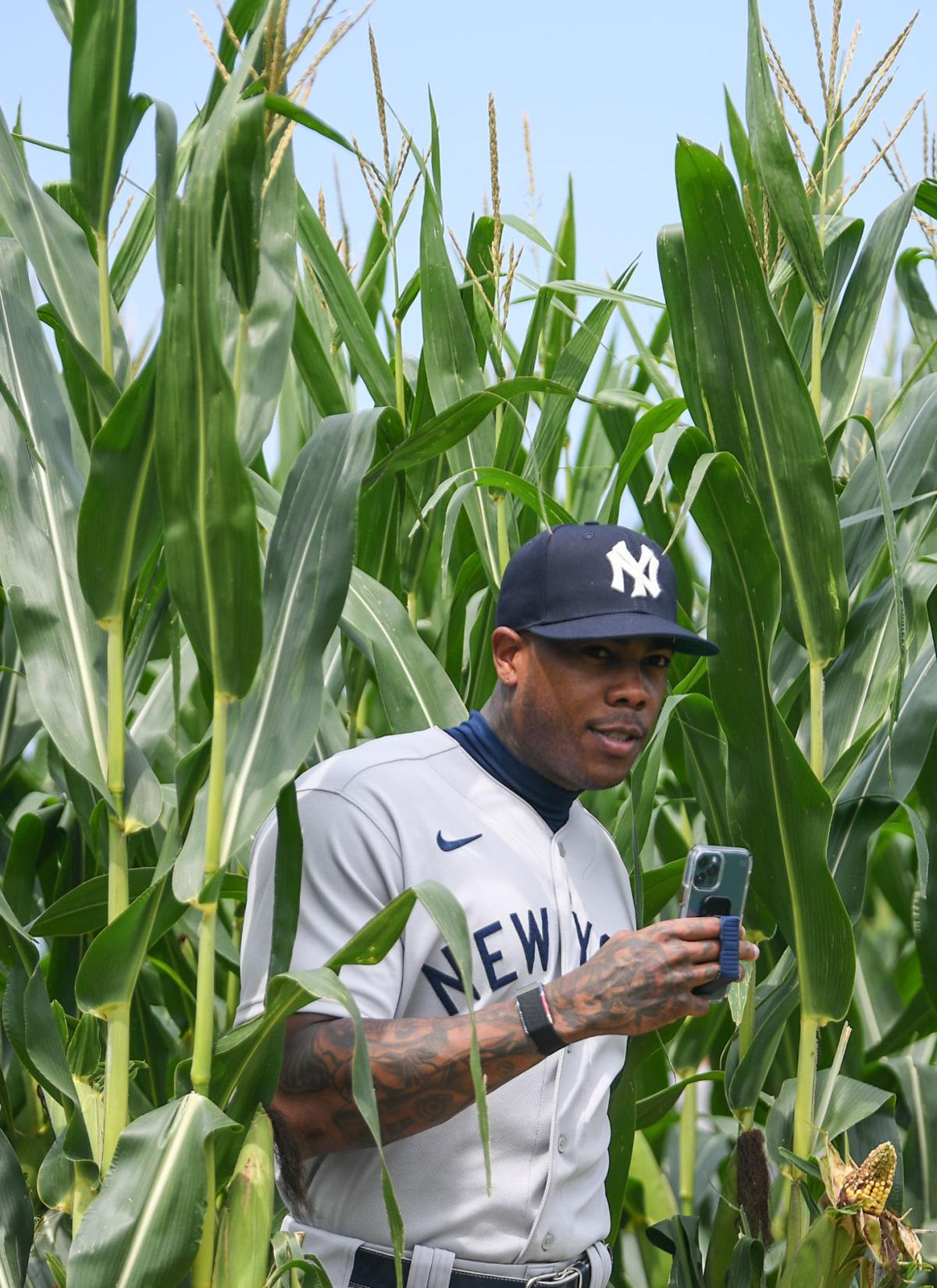 I think every baseball player should experience this': Cubs, Reds hope MLB  returns to Field of Dreams