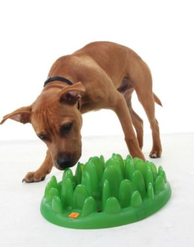 NEW Pet Treat Launcher Dog Fun Game Catch Gun Bone Thrower