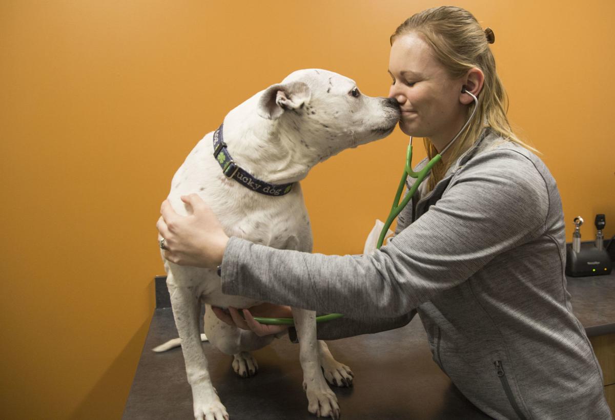 New Cedar Valley Veterinary Center Has Room To Roam Business