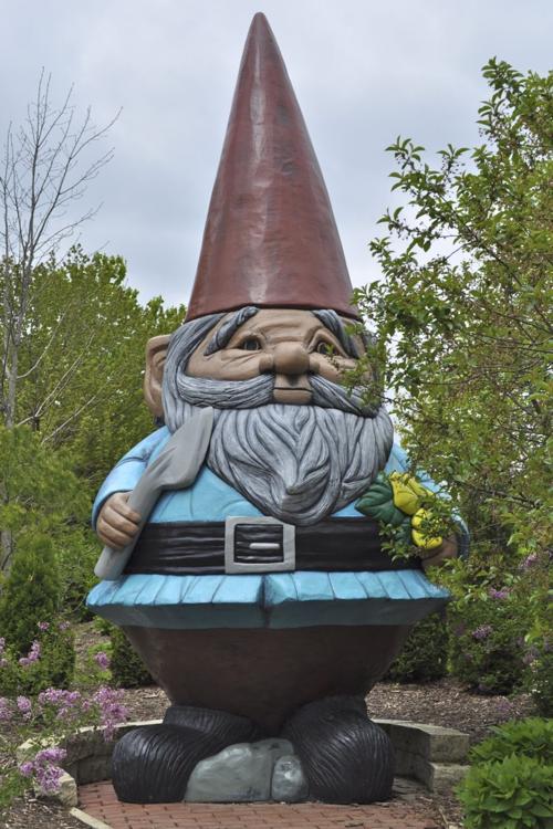 Giant Garden Gnome Wcfcourier Com