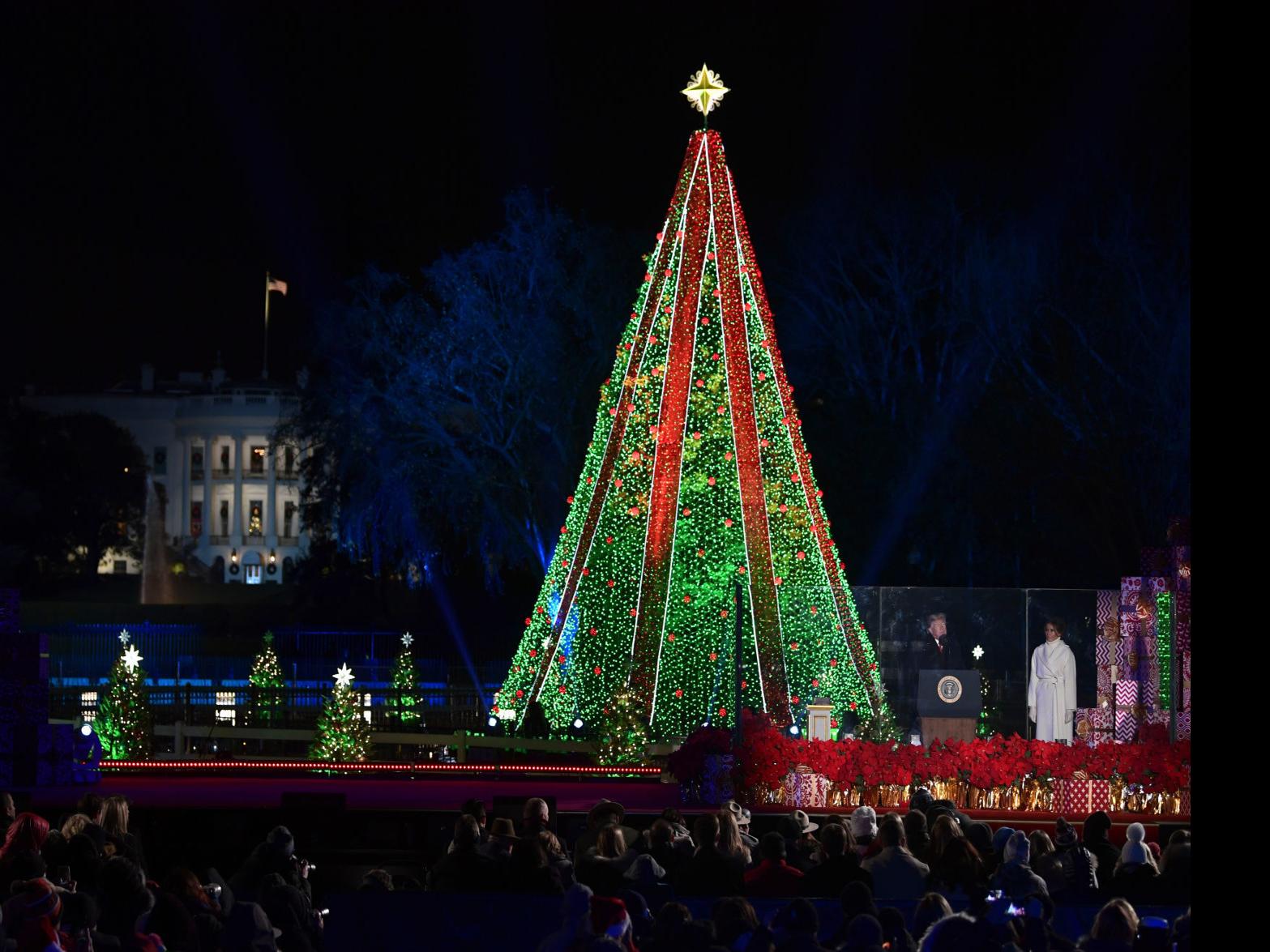 Trump Lighting The Christmas Tree 2022 Photos: Trumps Light National Christmas Tree South Of White House |  Lifestyles | Wcfcourier.com
