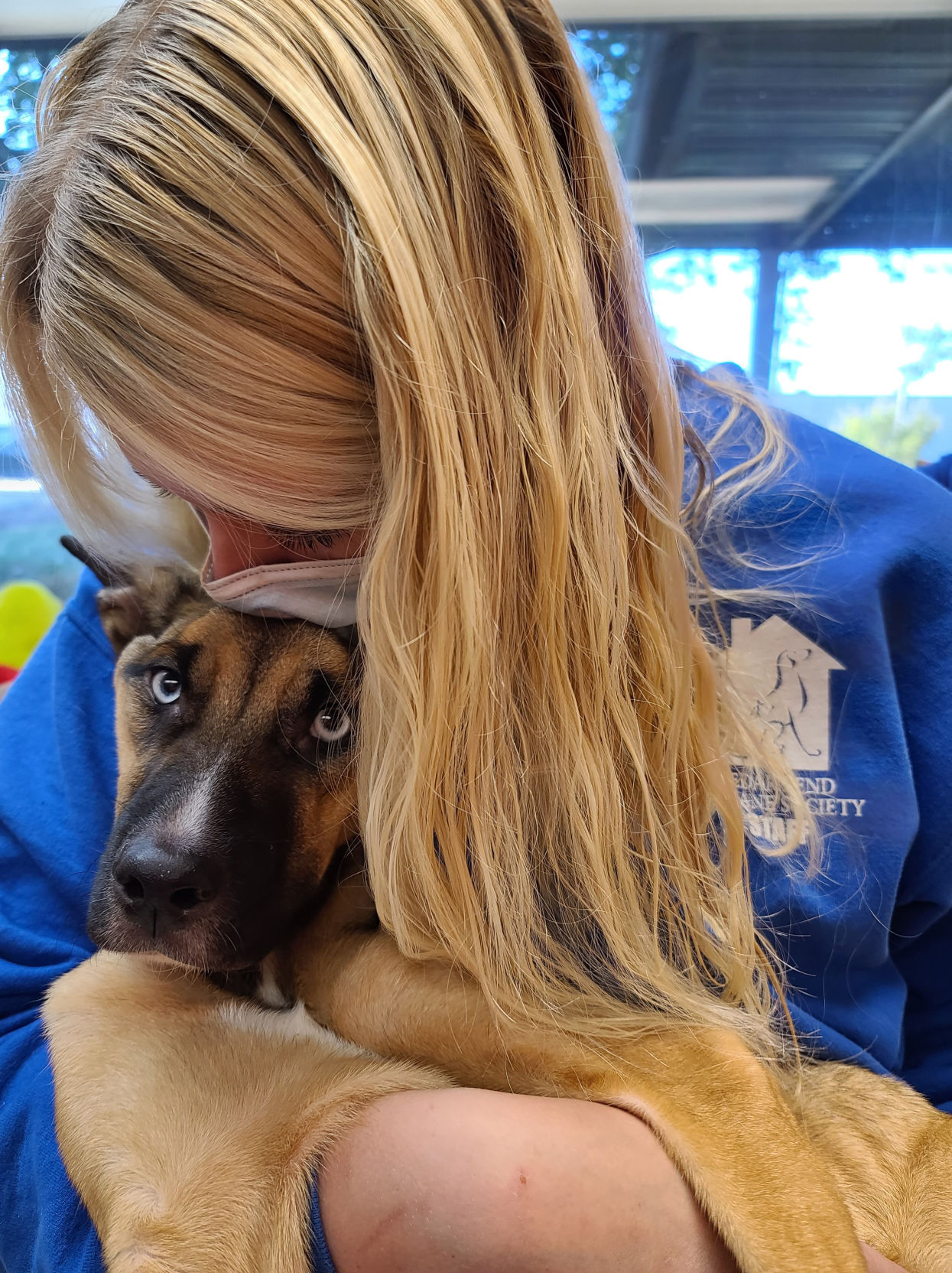 Cedar bend humane society hot sale dogs