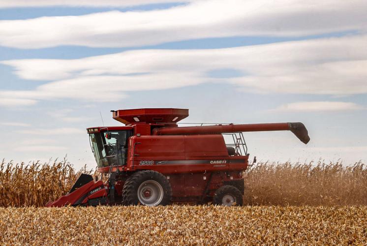 Crop progress: Corn harvest officially underway