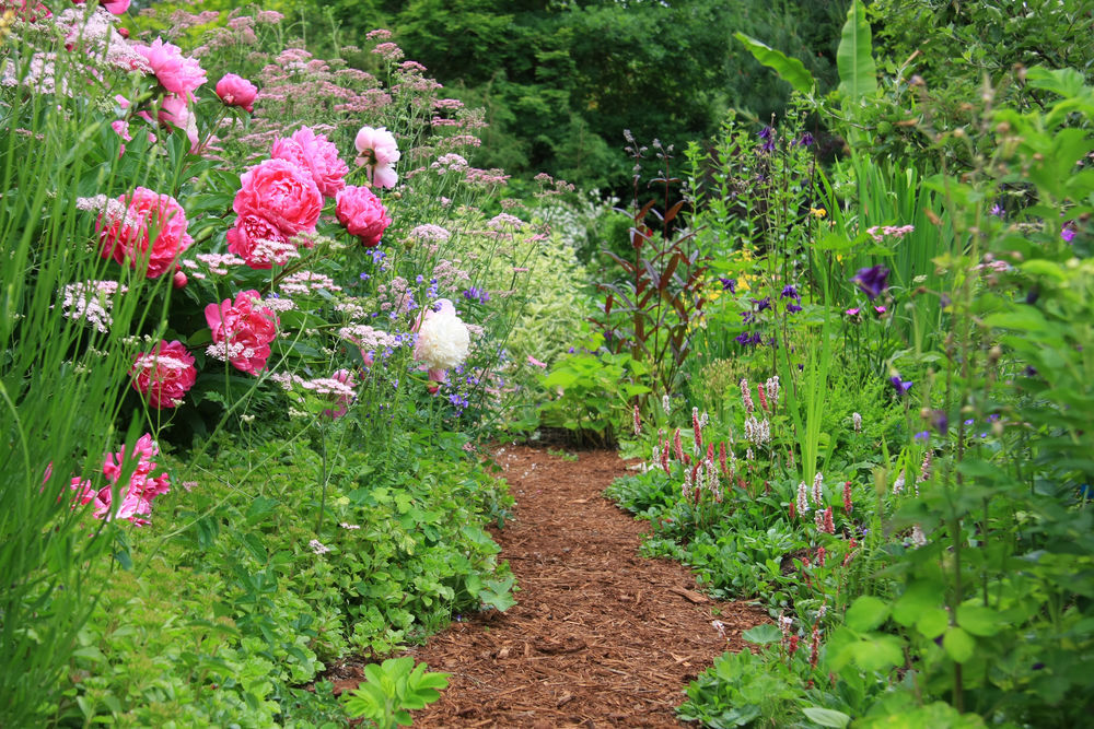 Say 'watcha' (hi) to your own cracking (best) English cottage garden