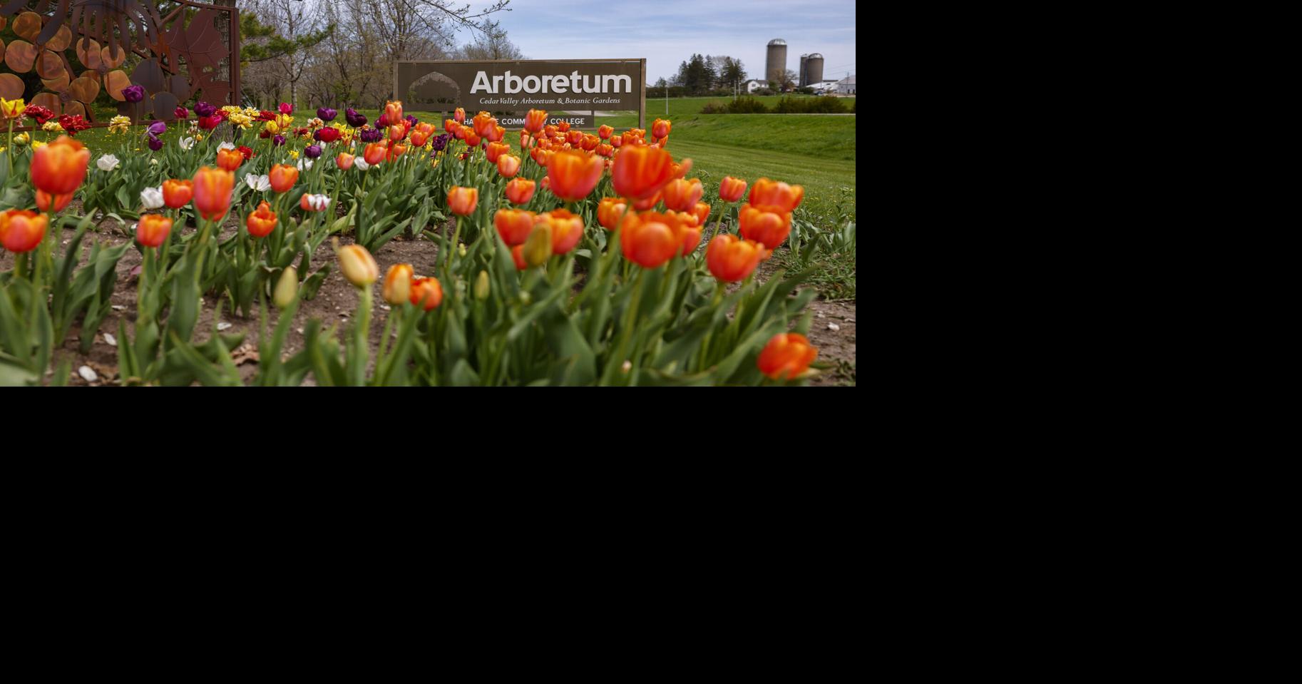 Sowing the seeds: Cedar Valley Arboretum & Botanic Gardens turns 30