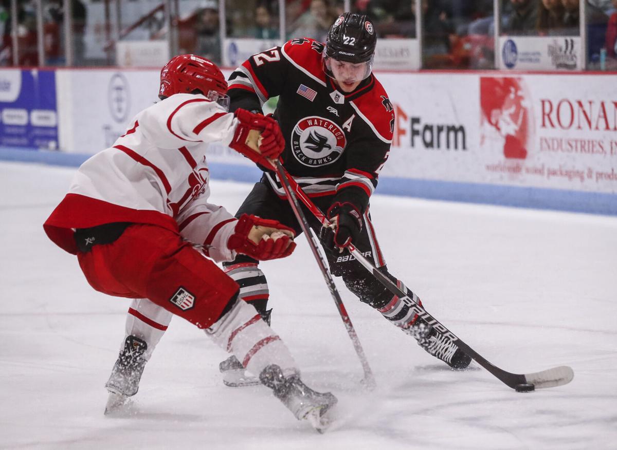 2023-24 USHL season preview: Waterloo Black Hawks - The Rink Live   Comprehensive coverage of youth, junior, high school and college hockey
