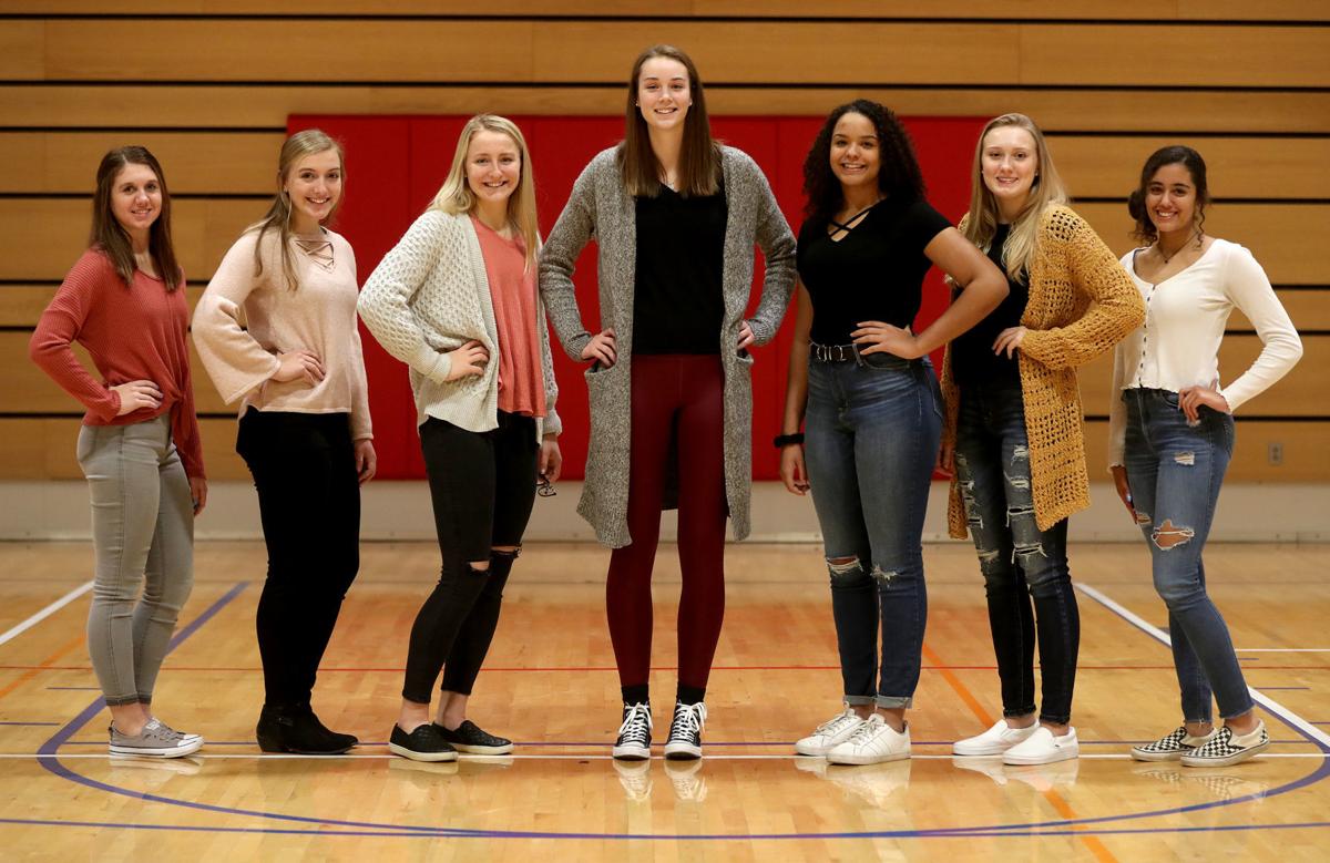 112619bp-all-metro-volleyball