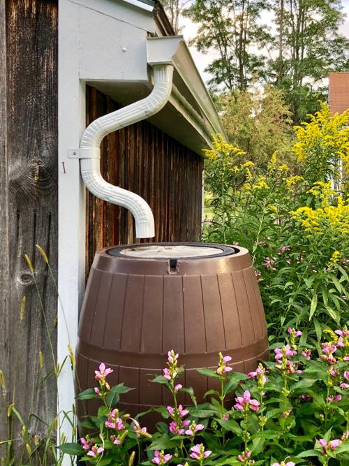 rain harvesting