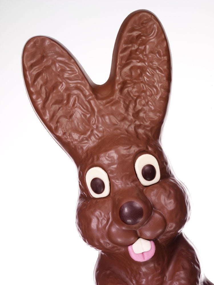 Chocolate bunny trivia | Lifestyles | wcfcourier.com