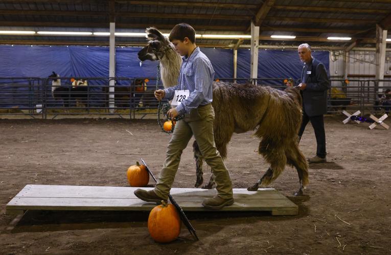 Find fun events to do in the Cedar Valley this weekend