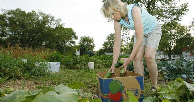Waverly Community Sharing Garden to hold planting day