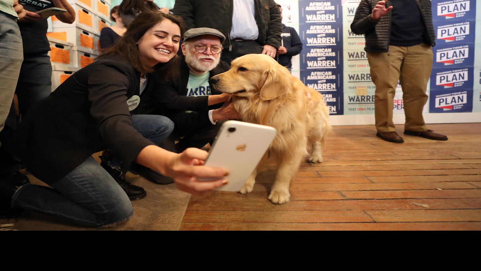Paws For The Cause Warren S Dog Bailey Greets Voters In Waterloo Political News Wcfcourier Com