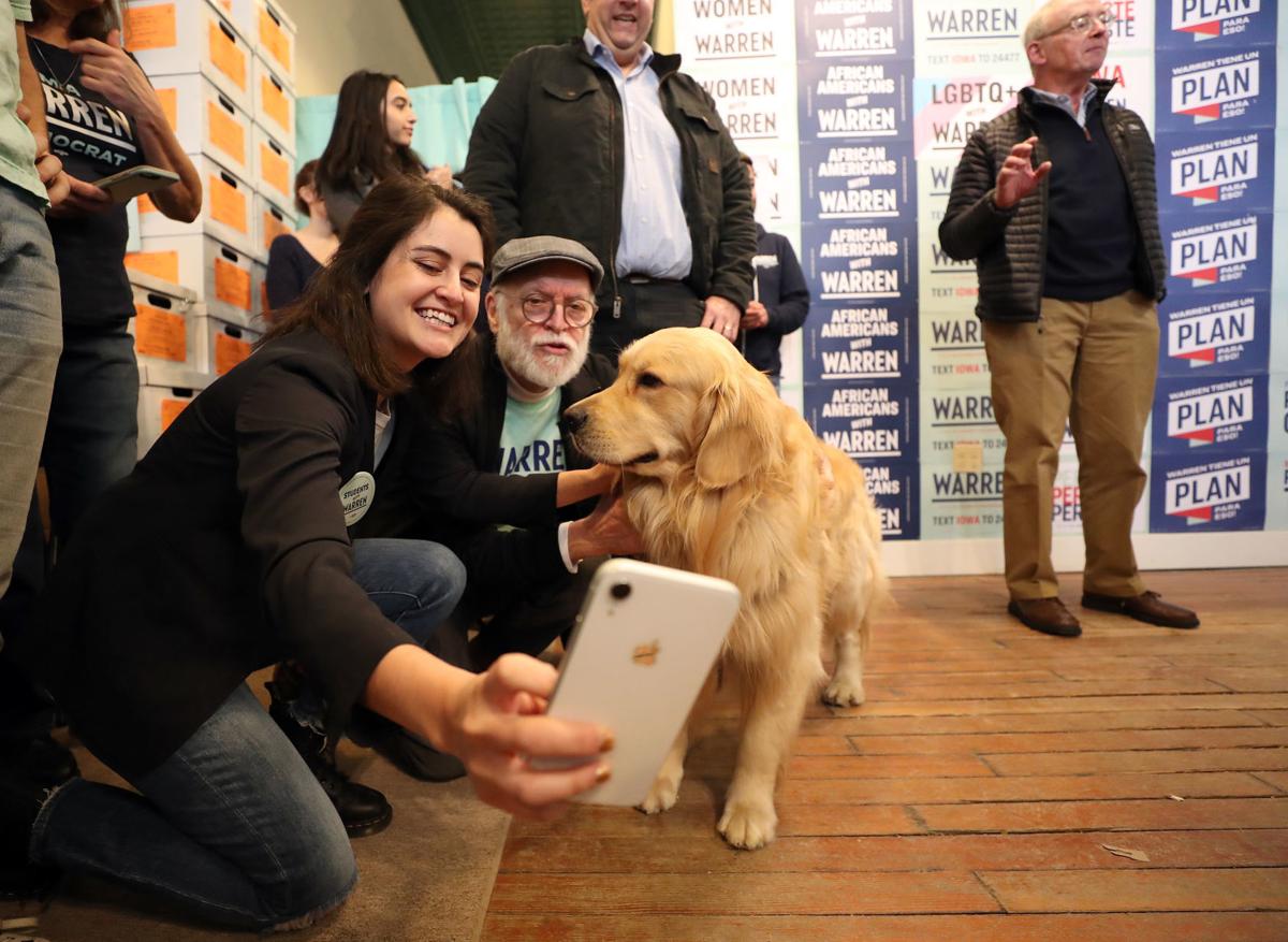 Paws For The Cause Warren S Dog Bailey Greets Voters In Waterloo Political News Wcfcourier Com