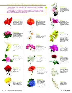 Pdf : Wedding Flower Glossary