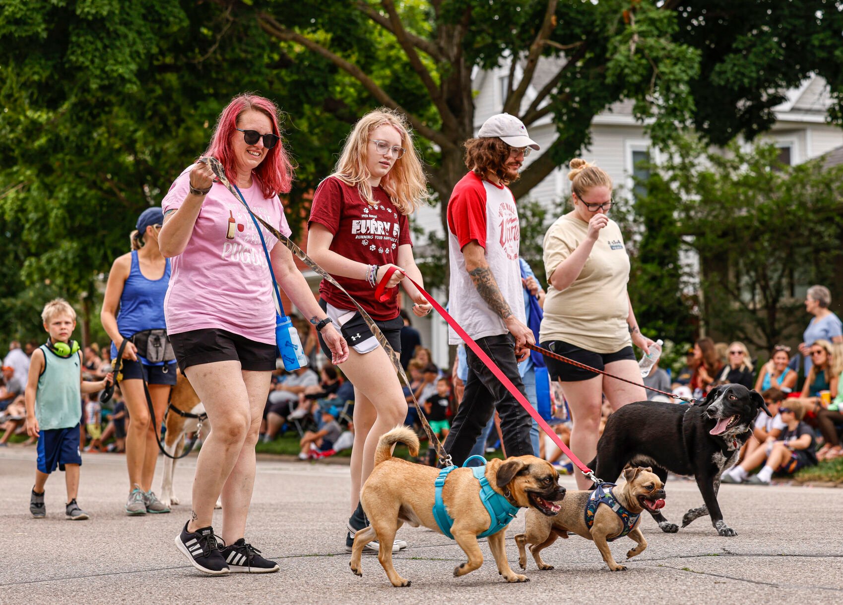 Cedar bend humane fashion society dogs