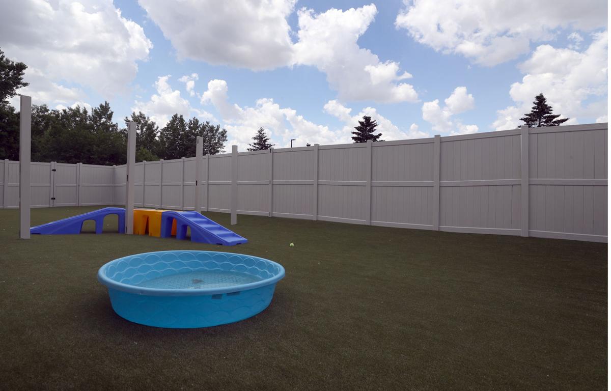 Spas for paws luxury pet resort opens in CF Local News