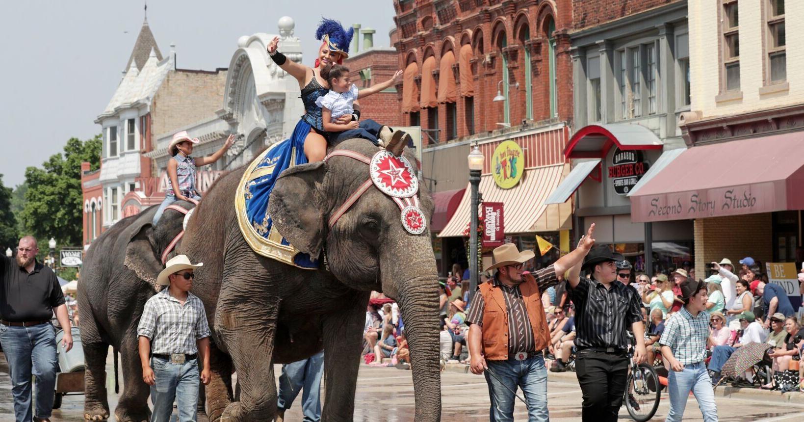Montana elephant escape upsets PETA , Humane Society - Vimarsana News