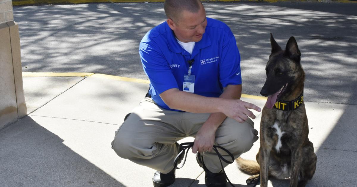 To soothe and protect: UnityPoint-Allen adds comfort security dog to site