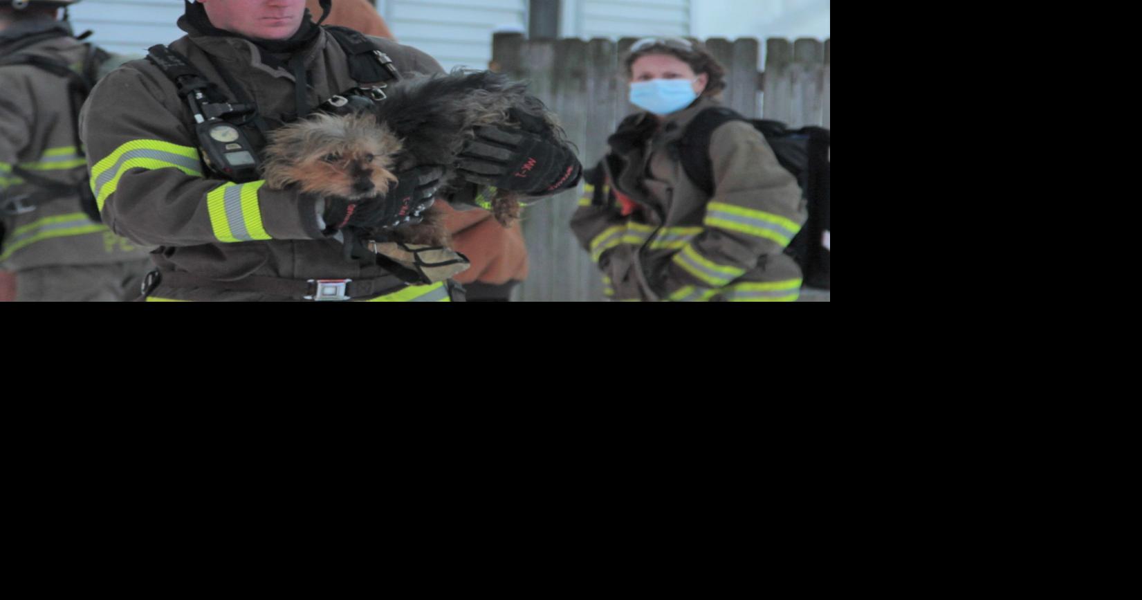 Family, pets flee house fire in Waterloo